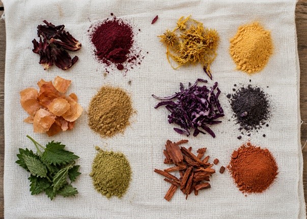Roots to Riches: The Ancient Art of Plant-Dyed Textiles